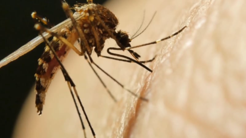 The Central District Health Department said two people have died from the virus.