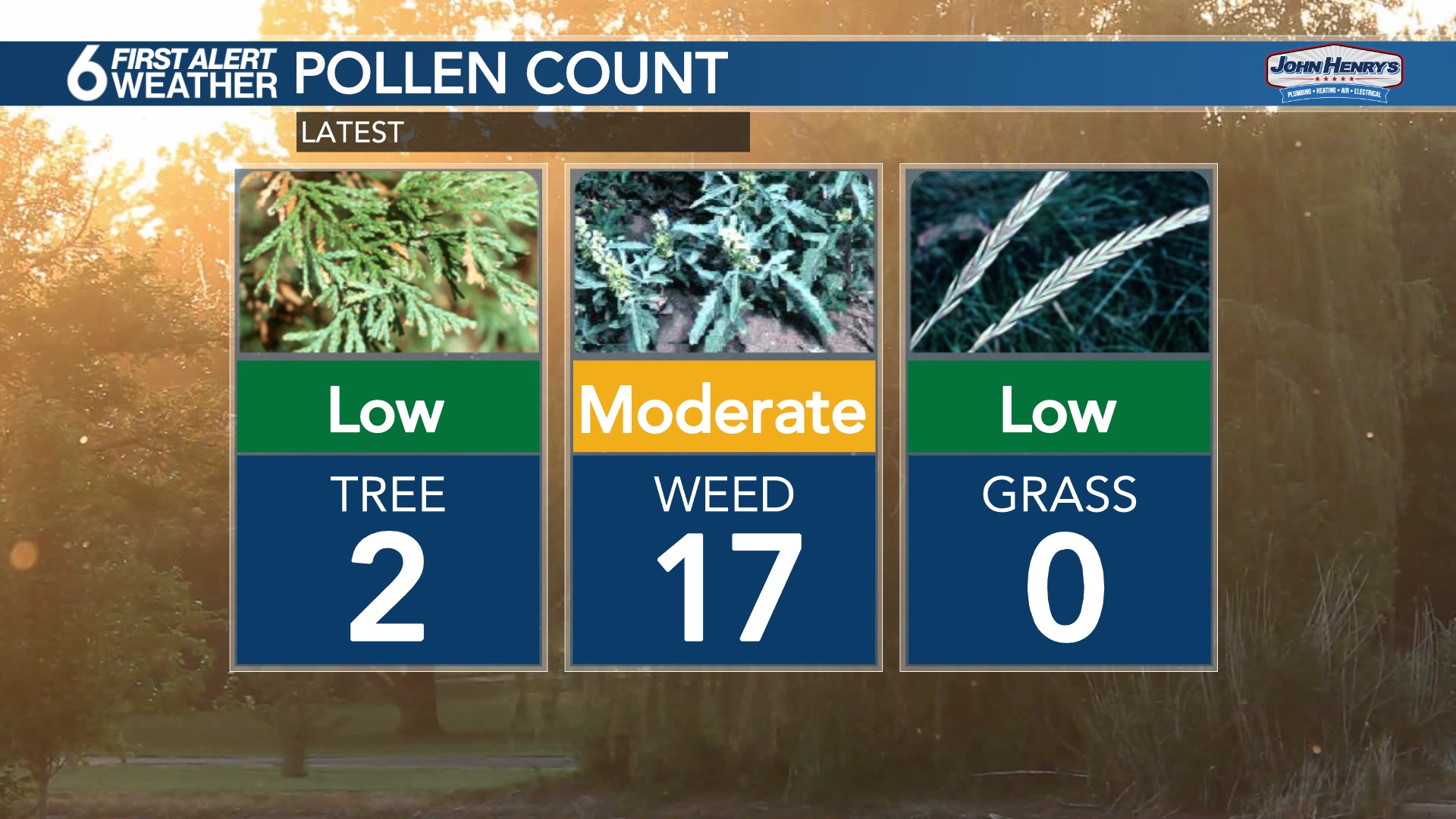 Pollen Count